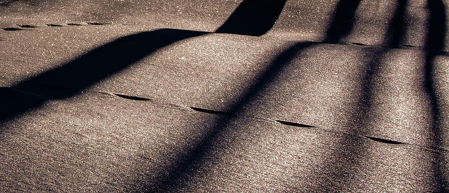 Sepia Shadows Photograph by Melissa Lipton