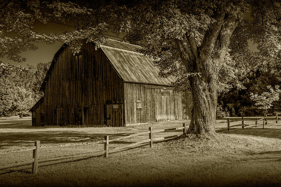 Vintage Photograph - Sepia Tone of a Wooden Weathered Barn in West Michigan by Randall Nyhof