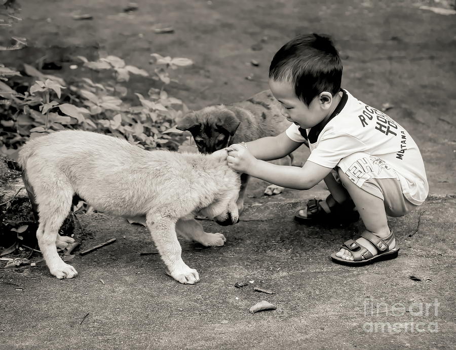 Sepia Tones Puppy and Child  Photograph by Chuck Kuhn