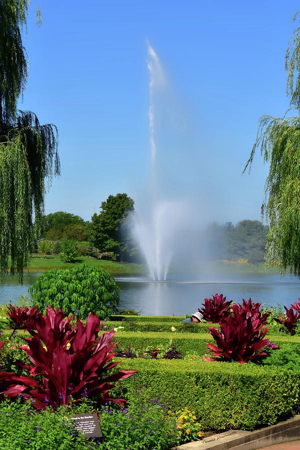 September Fountain Crescent Garden Chicago Botanic Garden Vertical