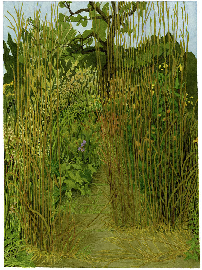Bluestem Painting - September Grasses I by Alice Ann Barnes