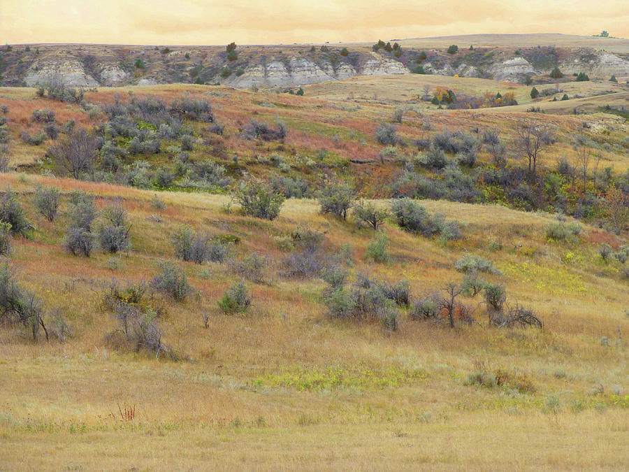 September Reverie in West Dakota Photograph by Cris Fulton