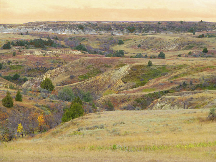 September Reverie of the Prairie Edge Photograph by Cris Fulton
