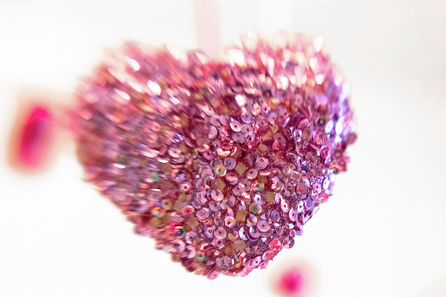 Sequins Heart  Photograph by Amy Sorvillo