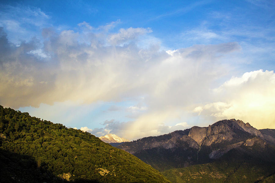 Sequoia Mountains by Alina Avanesian Sequoia Mountains by Alina Avanesian