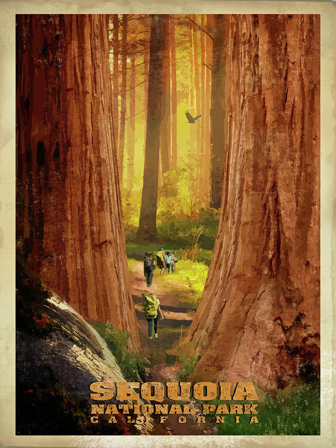 National Parks Digital Art - Sequoia by Old Red Truck