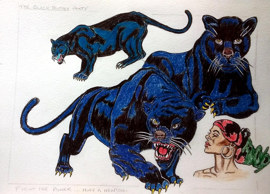 Serenade of the Black Panther  Drawing by Joedee