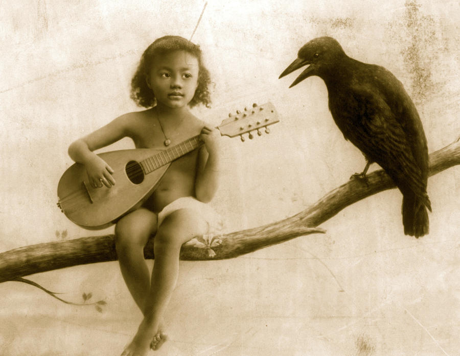 Serenading a Raven out on a limb Painting by 