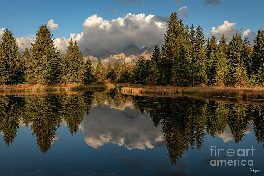 SERENE AT SCHWABACHERS LANDING by Doug Sturgess SERENE AT SCHWABACHERS LANDING by Doug Sturgess