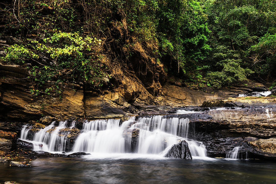 Serene stream in Western Ghats Karnataka India Photograph by Vishwanath ...