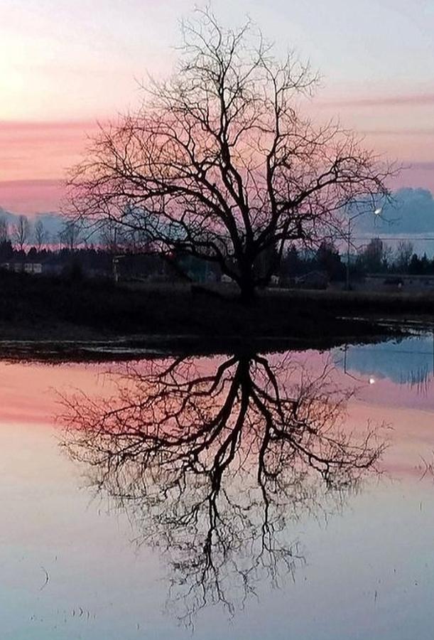 Serenity at Sunset Photograph by Suzy Piatt