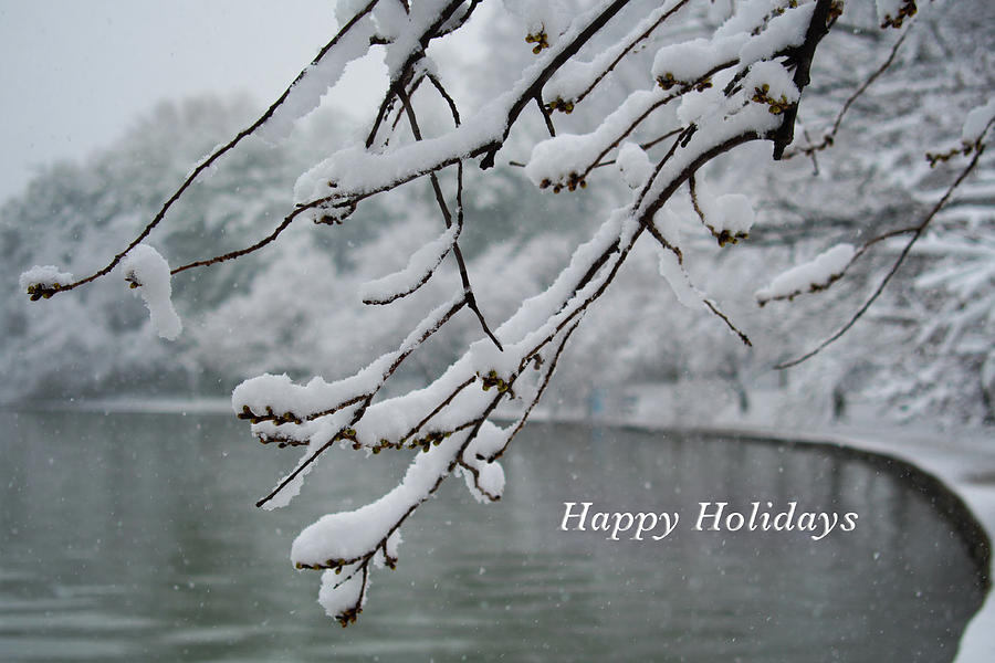 Serenity at the Tidal Basin by MARVIN BOWSER Serenity at the Tidal Basin by MARVIN BOWSER