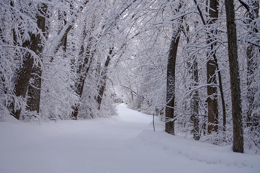 Winter Photograph - Serenity II by Susan Rydberg