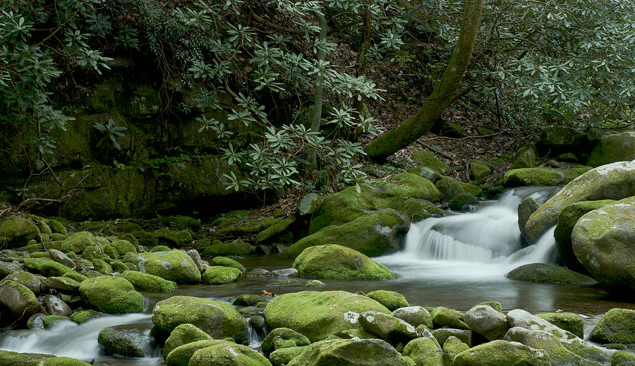 Serenity in the Smokies Photograph by Blaine Owens