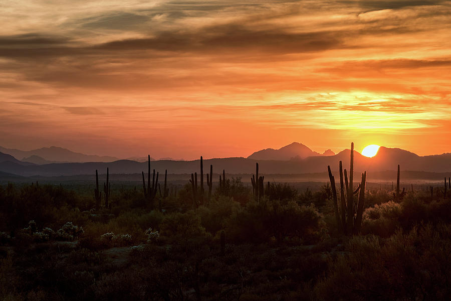 Sunset Photograph - Serenity In The Sonoran  by Saija Lehtonen