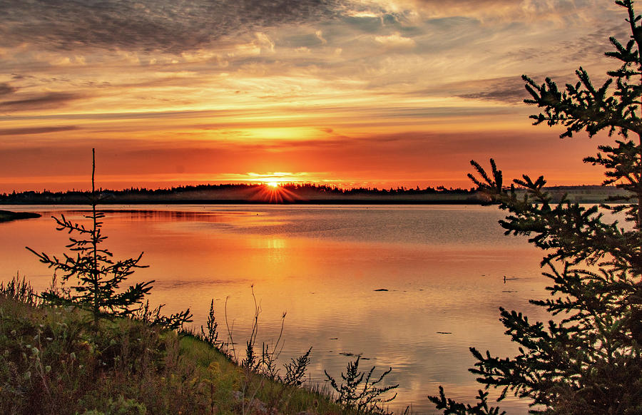 Serenity Sunrise Photograph by Marcy Wielfaert