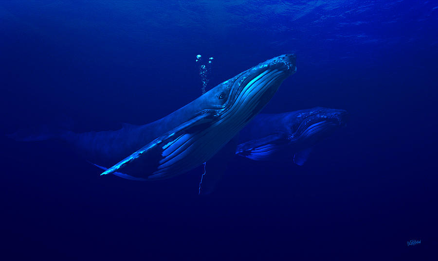 Humpback Digital Art - Humpback Whale Serenity by TJ Solstad Humpback Digital Art - Humpback Whale Serenity by TJ Solstad