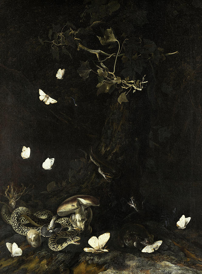 Insects Painting - Serpents and Insects, 1647 by Otto Marseus van Schrieck