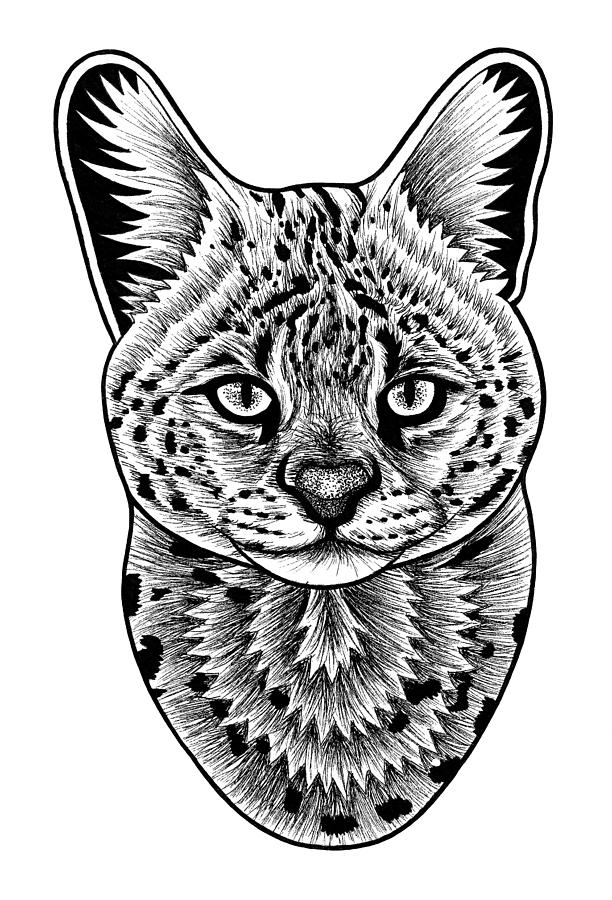 Serval cat in illustration Drawing by Loren Dowding Pixels