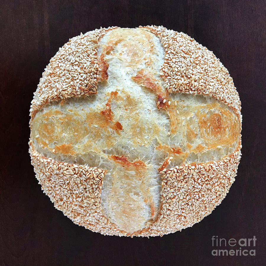 Sesame Seed Crusted Cross 1 Photograph by Amy E Fraser