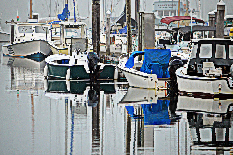 Sesuit Harbor in July Photograph by Dianne Cowen Cape Cod and Ocean