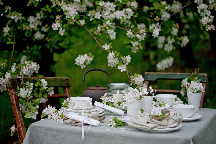 Set Table Below Apple Tree Photograph by Martina Schindler