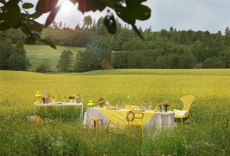 Set Table In Field Of Flowering Rapeseed Photograph by Annette Nordstrom