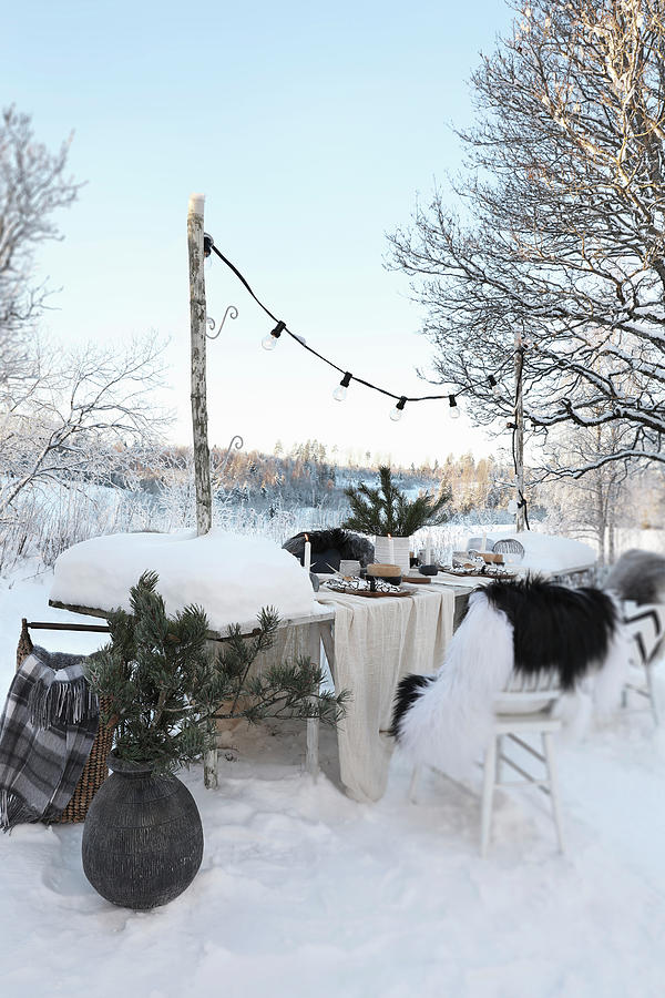 Set Table With Christmas Decorations In Snow Photograph by Annette Nordstrom