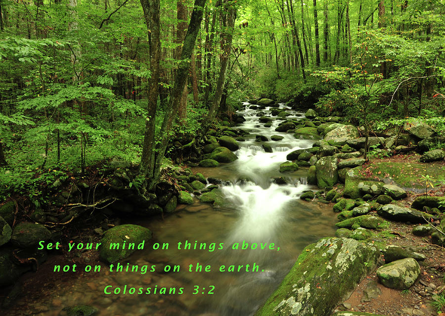 Set Your Mind on Things Above Colossians 3.2 Photograph by James C Richardson