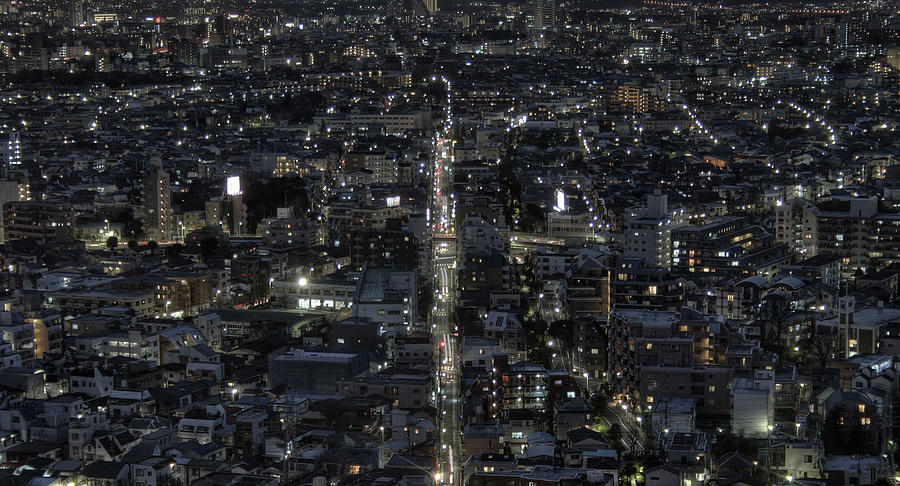 Setagaya Cityscape Photograph by Chris Jongkind