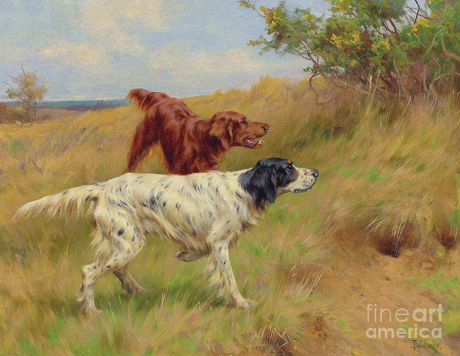 Setters Painting by Thomas Blinks