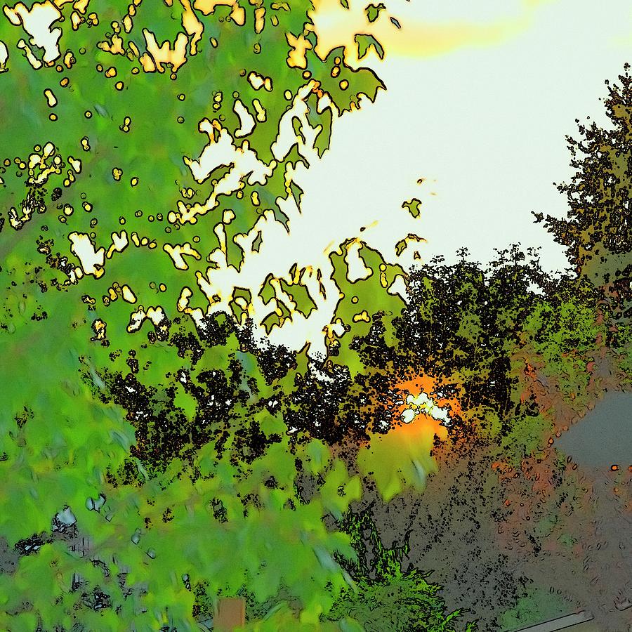 Setting Sun And Maple Color Sketch Photograph by Jerry Sodorff