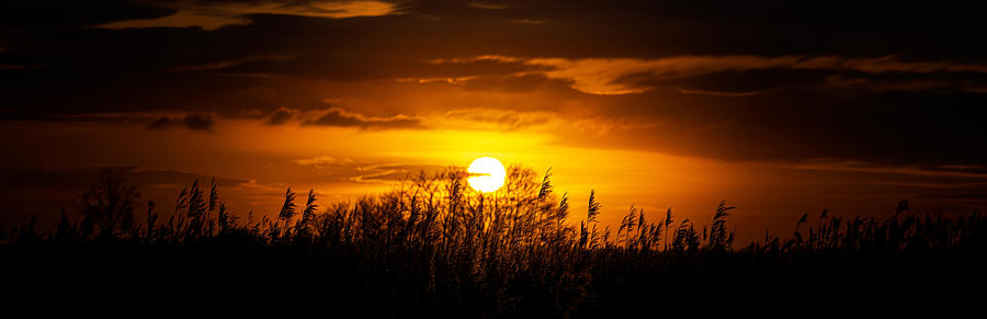 Setting Sun At Newport Wetlands Photograph by Lee Kershaw