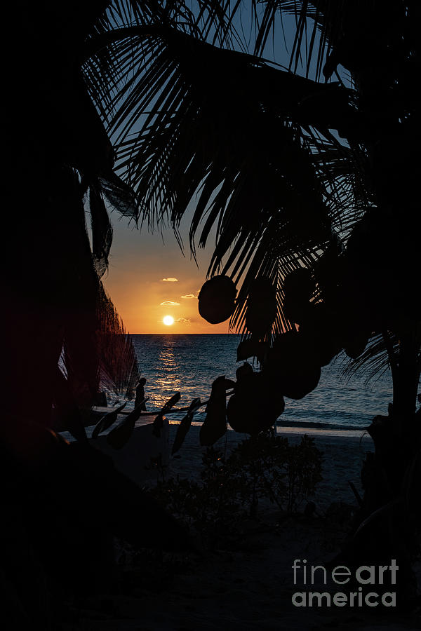 Setting Sun In Cayman Photograph by Judy Wolinsky