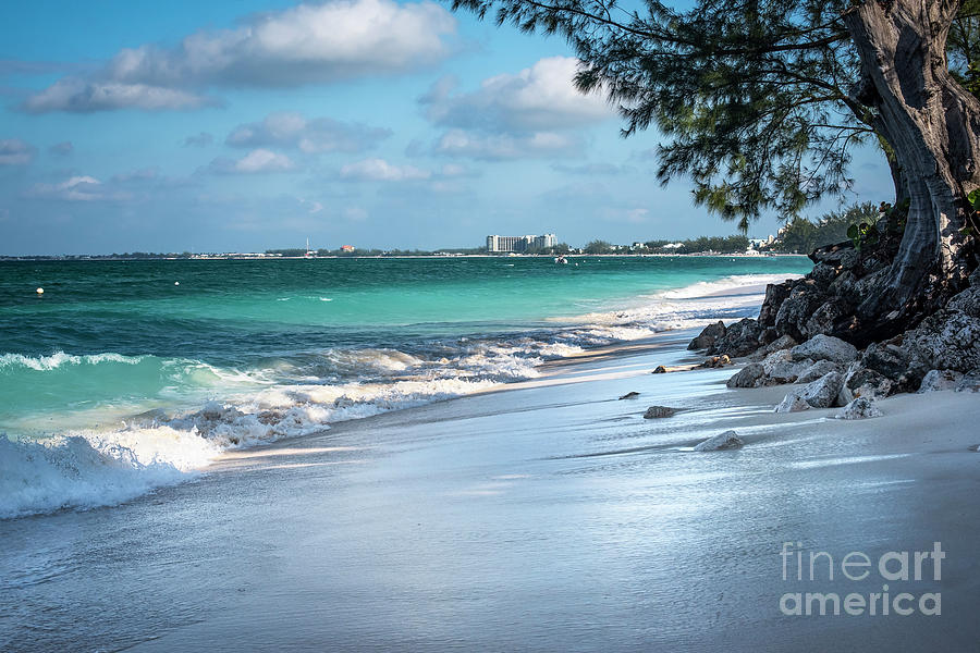 Seven Mile Beach Photograph by Judy Wolinsky