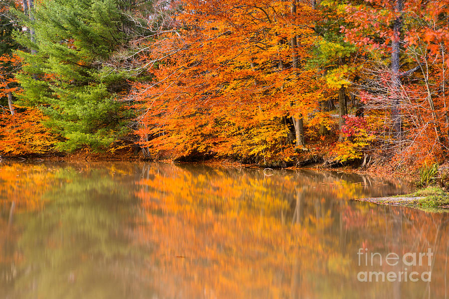 Seven Springs Autumn Reflections Photograph by Adam Jewell