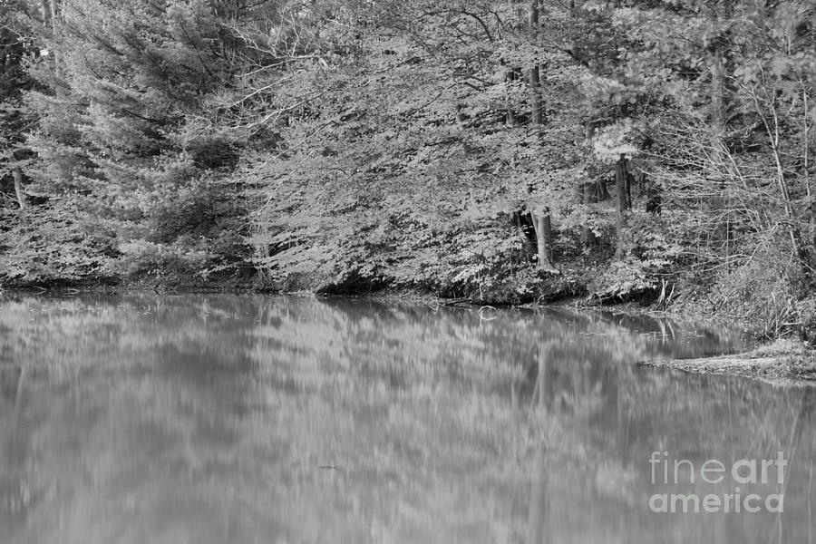 Seven Springs Autumn Reflections Black And White Photograph by Adam Jewell
