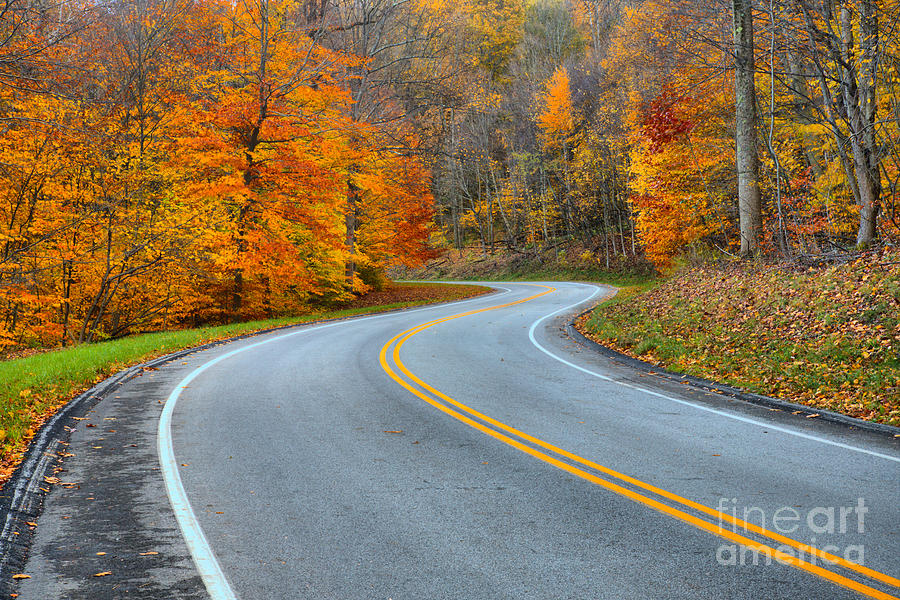 Seven Springs Village Road Fall Foliage Photograph by Adam Jewell