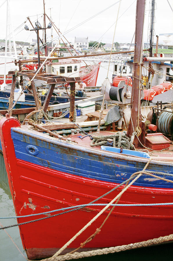 Fish Photograph - Several Fishing Boats At Harbour Of Dingle In Ireland by Jalag / Ulfert Beckert