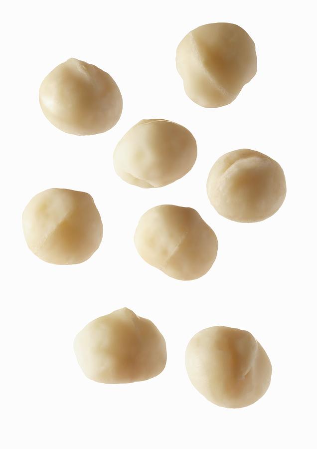 Several Macadamia Nuts Photograph by Krger & Gross