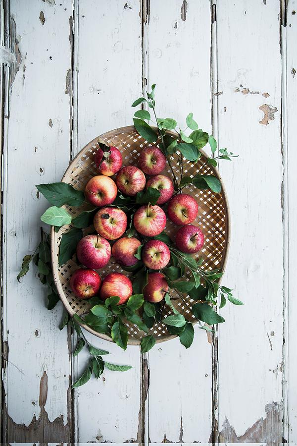 Several Organic Apples With Leaves In A Basket Photograph by Sneh Roy