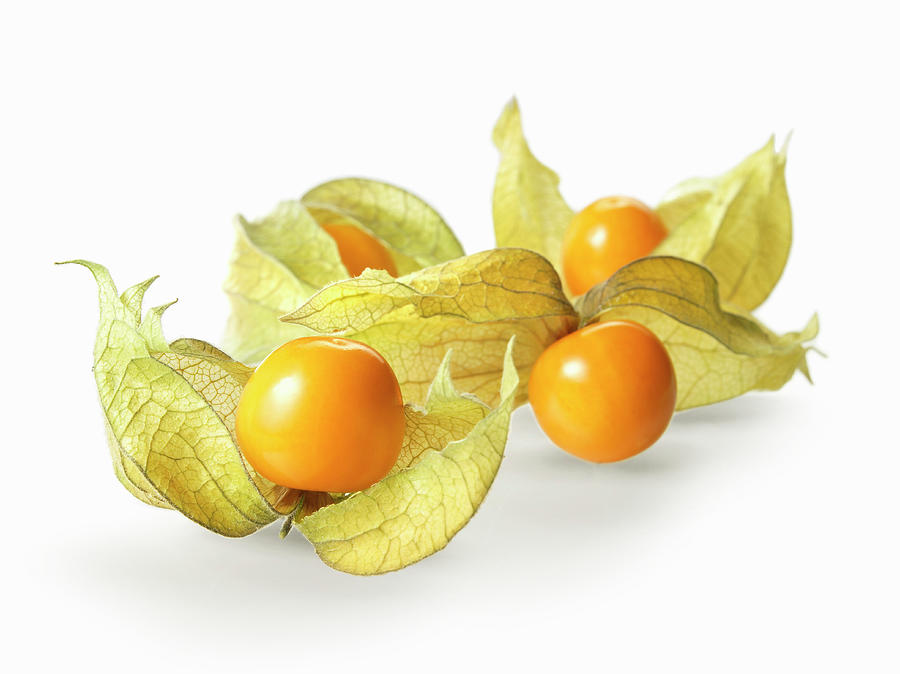 Several Physalis Photograph by Fruitbank