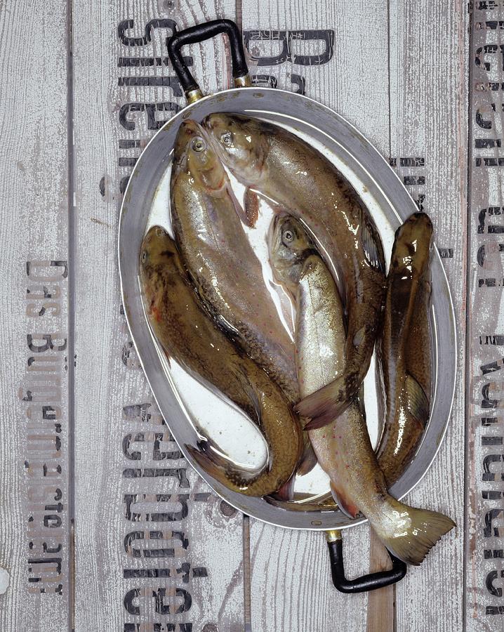 Several Trout In An Oval Pan Photograph by Michael Wissing
