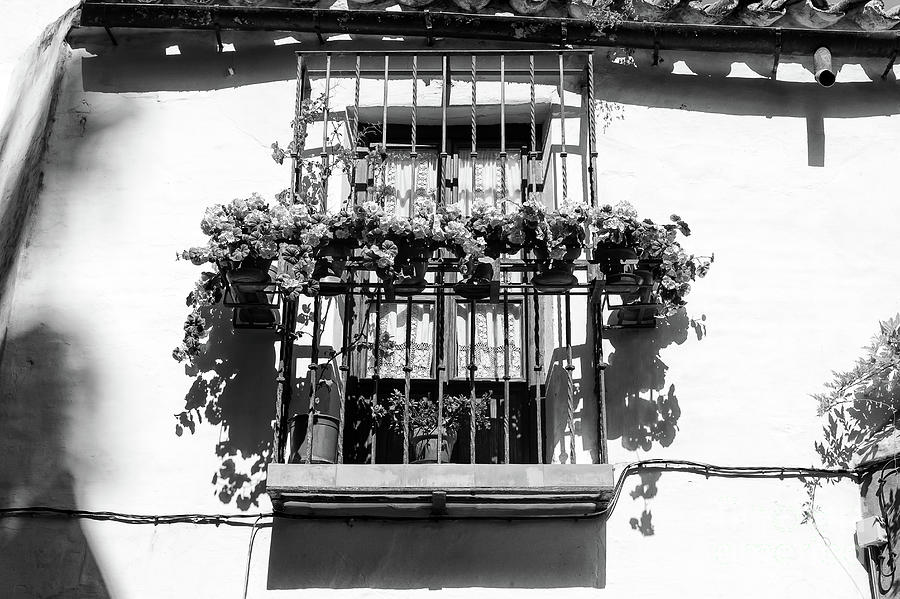 Seville Flowers in the Window Photograph by John Rizzuto