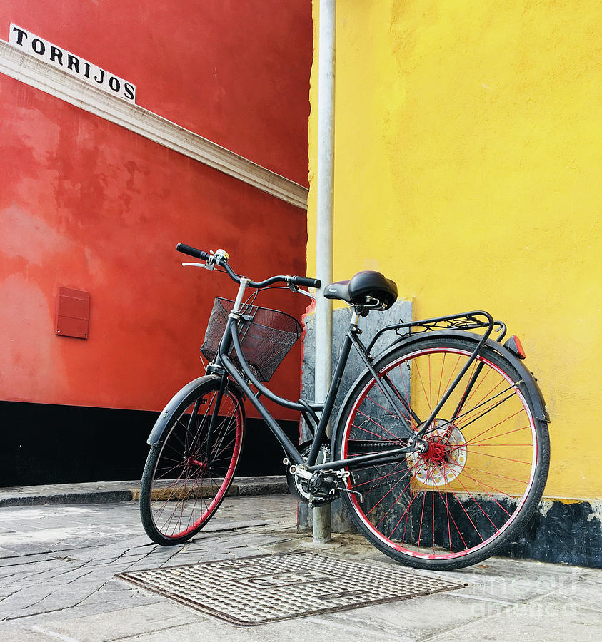 Seville bicycle Photograph by Elena Nosyreva