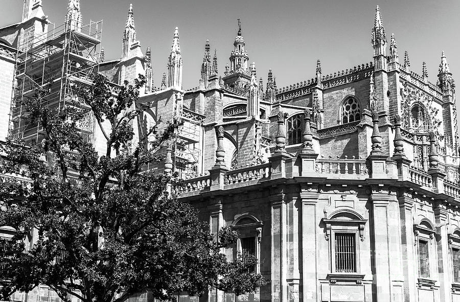Architecture Photograph - Seville Cathedral Top by John Rizzuto