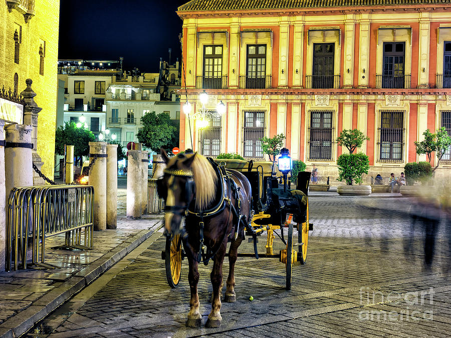 Seville Horse-drawn Carriage at Night Photograph by John Rizzuto