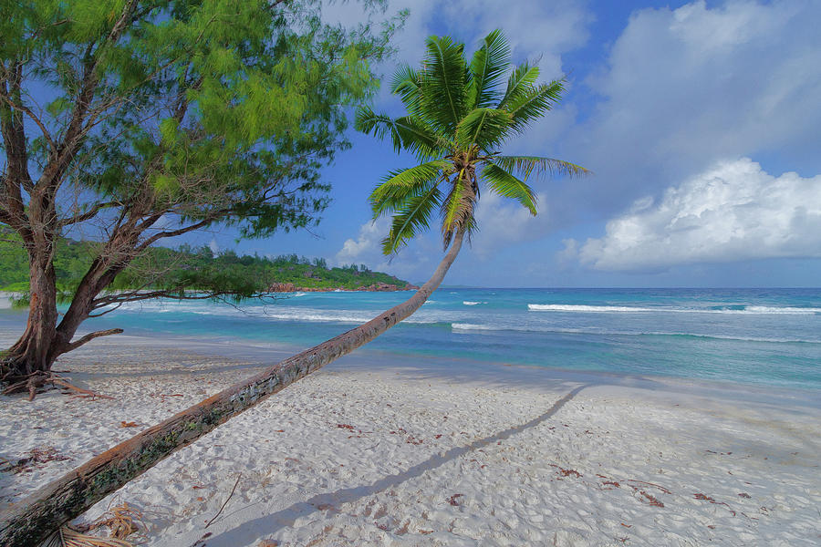 Seychelles beach Photograph by Giovanni Allievi