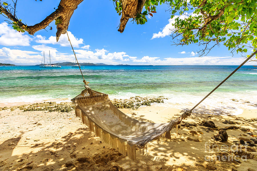 Seychelles with Hammock Photograph by Benny Marty