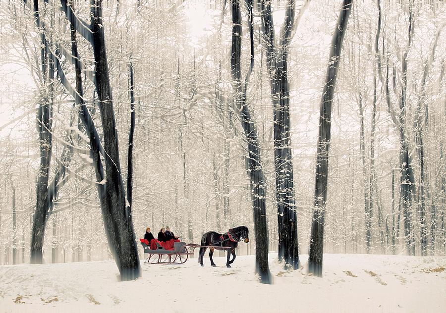 Winter Sleigh Ride Photograph by Jessica Jenney